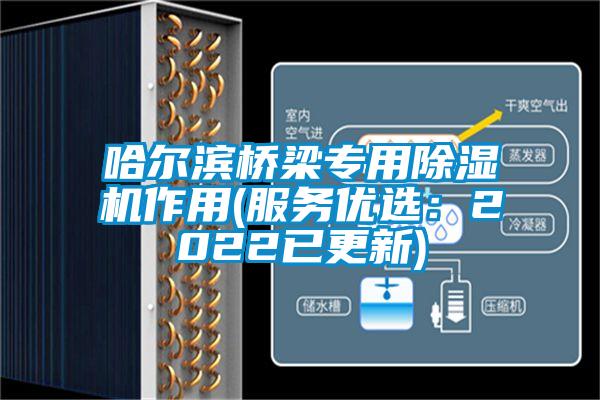 哈爾濱橋梁專用除濕機作用(服務優(yōu)選：2022已更新)