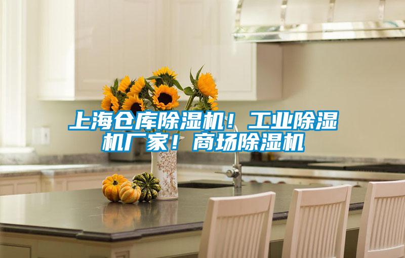 上海倉庫除濕機！工業(yè)除濕機廠家！商場除濕機