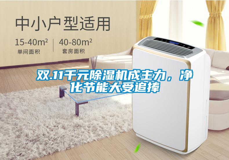 雙.11千元除濕機(jī)成主力，凈化節(jié)能大受追捧