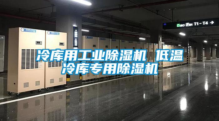 冷庫用工業(yè)除濕機 低溫冷庫專用除濕機