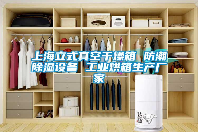 上海立式真空干燥箱 防潮除濕設備 工業(yè)烘箱生產廠家