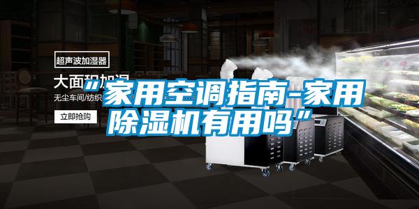 “家用空調指南-家用除濕機有用嗎”