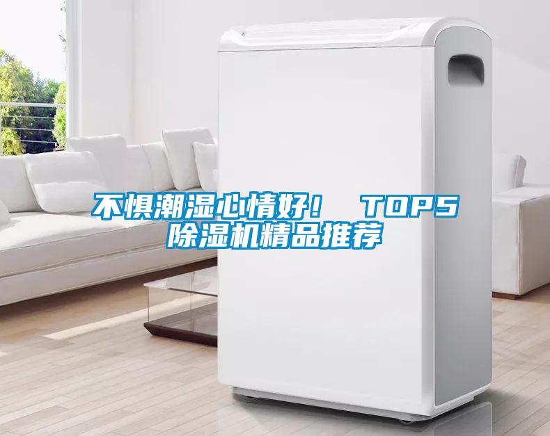 不懼潮濕心情好！ TOP5除濕機(jī)精品推薦