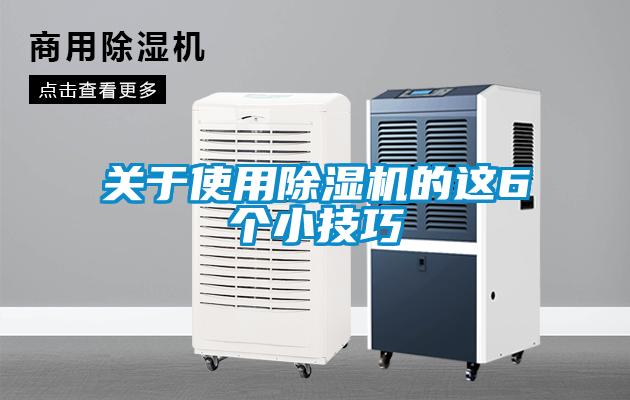 關于使用除濕機的這6個小技巧