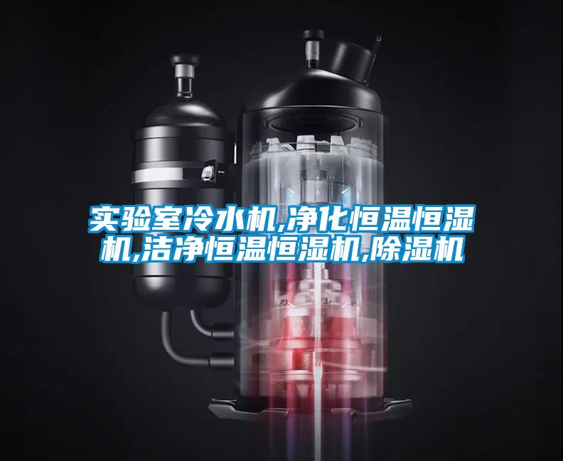 實驗室冷水機,凈化恒溫恒濕機,潔凈恒溫恒濕機,除濕機