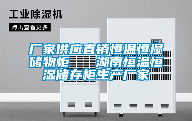 廠家供應直銷恒溫恒濕儲物柜   湖南恒溫恒濕儲存柜生產廠家
