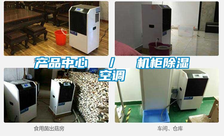 產品中心  ／  機柜除濕空調