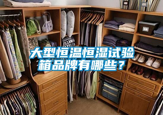 大型恒溫恒濕試驗箱品牌有哪些？