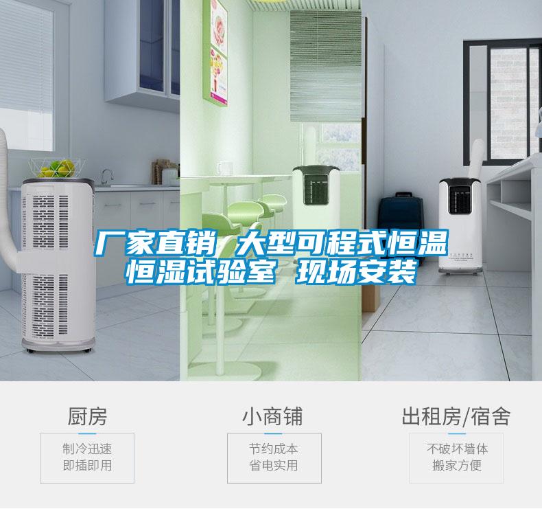 廠家直銷 大型可程式恒溫恒濕試驗(yàn)室 現(xiàn)場安裝