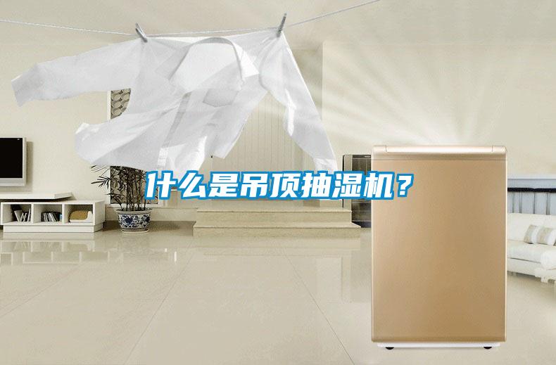 什么是吊頂抽濕機？