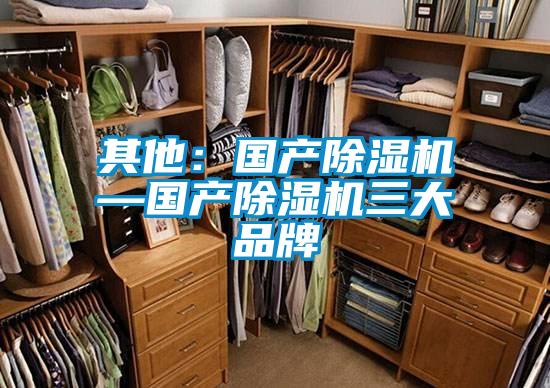 其他：國產除濕機—國產除濕機三大品牌