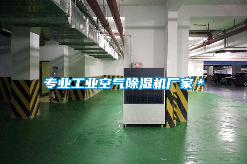 專業(yè)工業(yè)空氣除濕機廠家＊