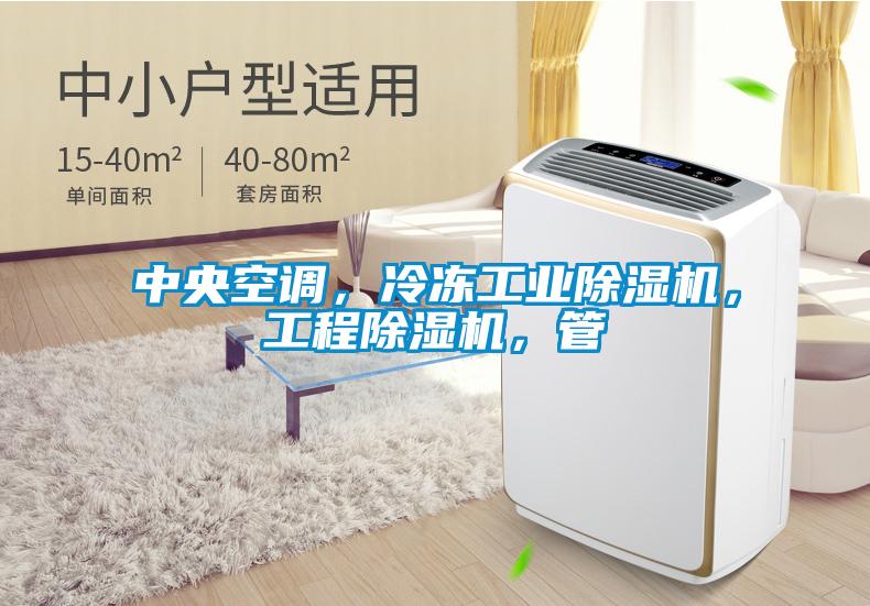 中央空調，冷凍工業(yè)除濕機，工程除濕機，管