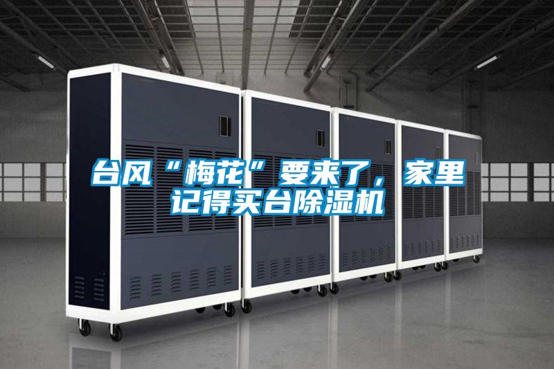 臺風(fēng)“梅花”要來了，家里記得買臺除濕機(jī)