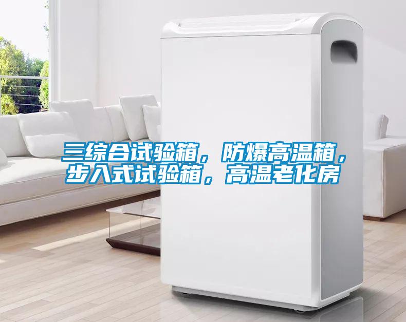 三綜合試驗(yàn)箱，防爆高溫箱，步入式試驗(yàn)箱，高溫老化房