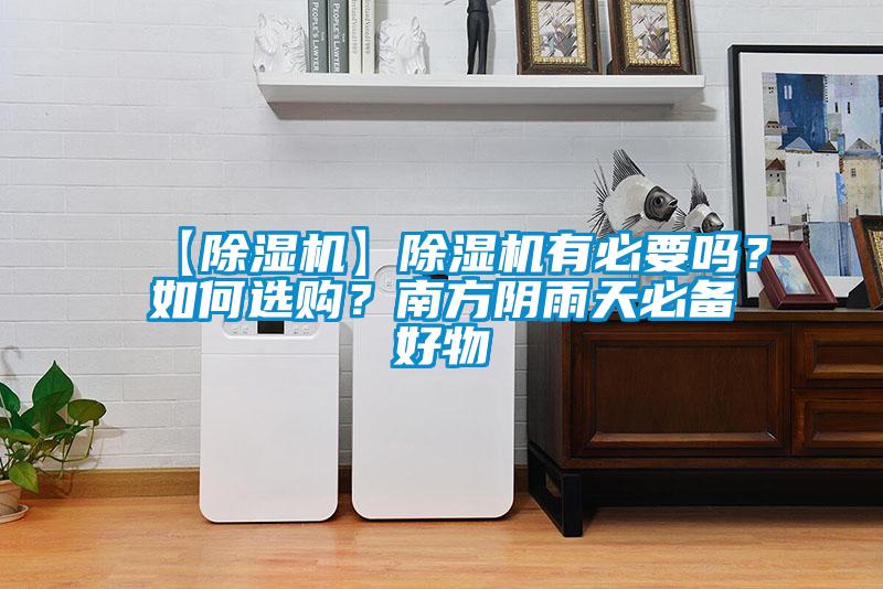【除濕機】除濕機有必要嗎？如何選購？南方陰雨天必備好物