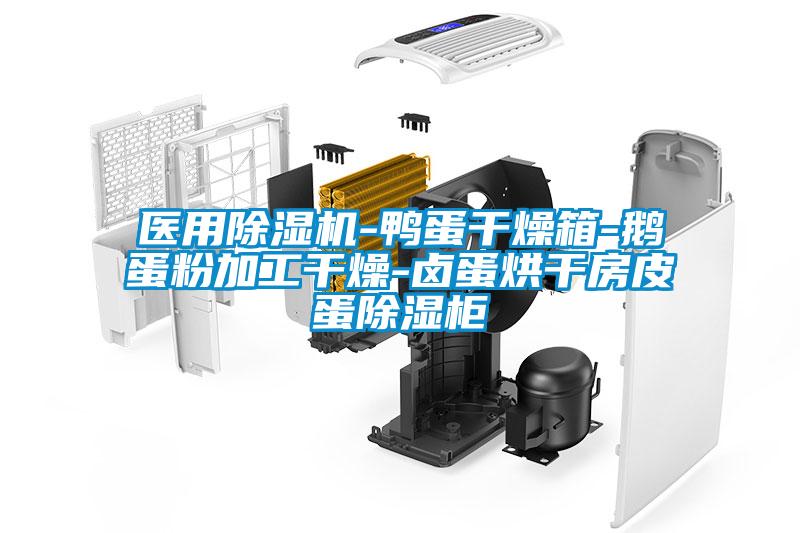 醫用除濕機-鴨蛋干燥箱-鵝蛋粉加工干燥-鹵蛋烘干房皮蛋除濕柜