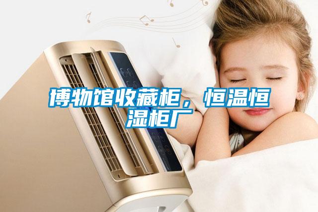 博物館收藏柜，恒溫恒濕柜廠
