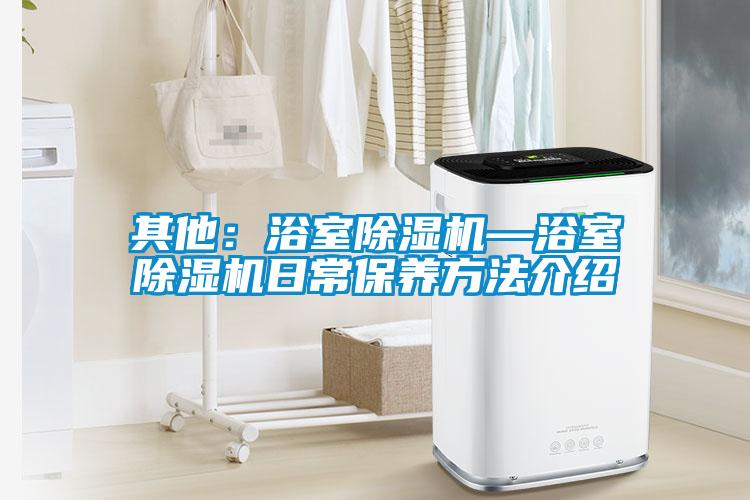 其他：浴室除濕機—浴室除濕機日常保養方法介紹