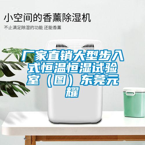 廠家直銷大型步入式恒溫恒濕試驗(yàn)室（圖）東莞元耀