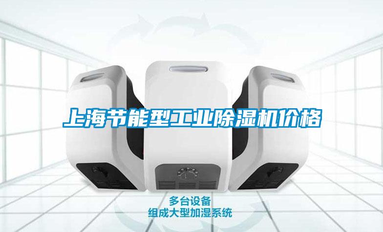 上海節(jié)能型工業(yè)除濕機(jī)價格