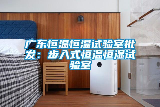 廣東恒溫恒濕試驗室批發：步入式恒溫恒濕試驗室