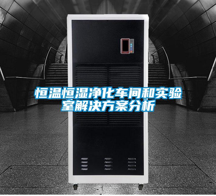 恒溫恒濕凈化車間和實(shí)驗(yàn)室解決方案分析