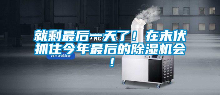 就剩最后一天了！在末伏抓住今年最后的除濕機(jī)會(huì)！