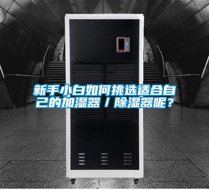 新手小白如何挑選適合自己的加濕器／除濕器呢？
