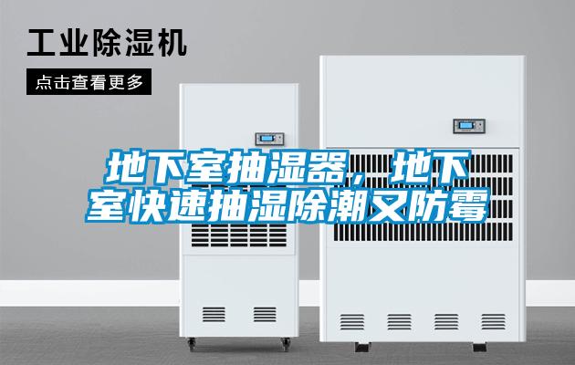 地下室抽濕器，地下室快速抽濕除潮又防霉