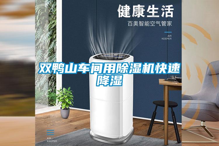 雙鴨山車間用除濕機快速降濕