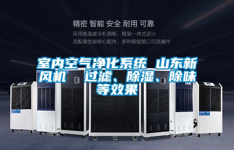 室內(nèi)空氣凈化系統(tǒng) 山東新風(fēng)機(jī)  過濾、除濕、除味等效果