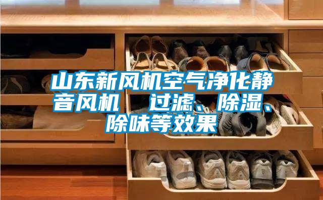 山東新風(fēng)機(jī)空氣凈化靜音風(fēng)機(jī)  過(guò)濾、除濕、除味等效果