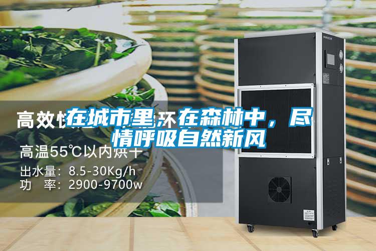 在城市里，在森林中，盡情呼吸自然新風