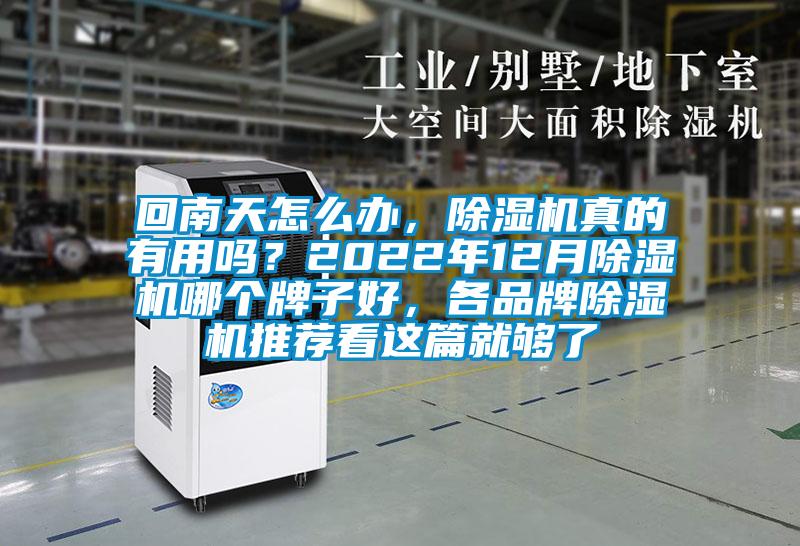 回南天怎么辦，除濕機真的有用嗎？2022年12月除濕機哪個牌子好，各品牌除濕機推薦看這篇就夠了