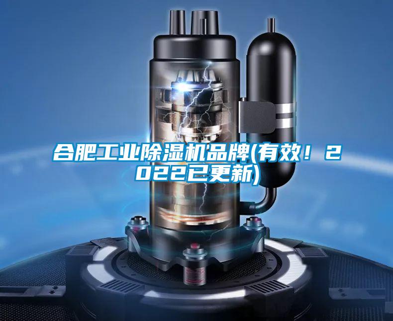 合肥工業(yè)除濕機(jī)品牌(有效！2022已更新)