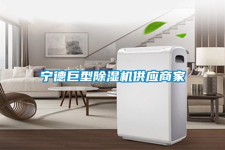 寧德巨型除濕機供應商家