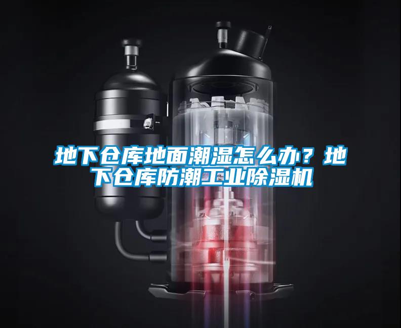 地下倉庫地面潮濕怎么辦？地下倉庫防潮工業除濕機
