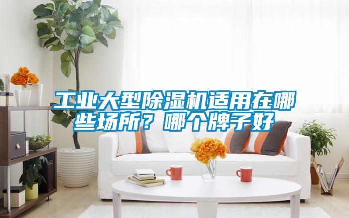 工業大型除濕機適用在哪些場所？哪個牌子好