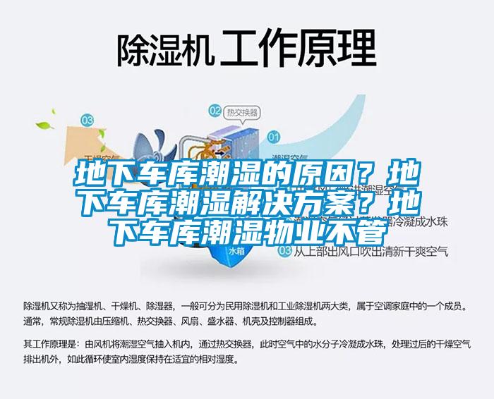 地下車庫潮濕的原因？地下車庫潮濕解決方案？地下車庫潮濕物業不管