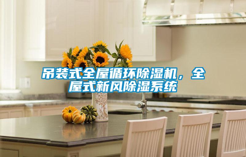吊裝式全屋循環(huán)除濕機，全屋式新風除濕系統(tǒng)