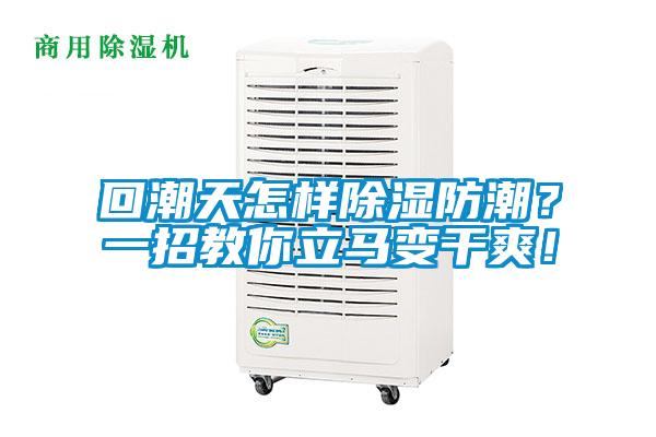 回潮天怎樣除濕防潮？一招教你立馬變干爽！