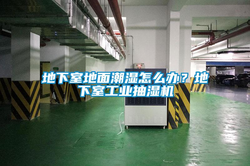 地下室地面潮濕怎么辦？地下室工業抽濕機