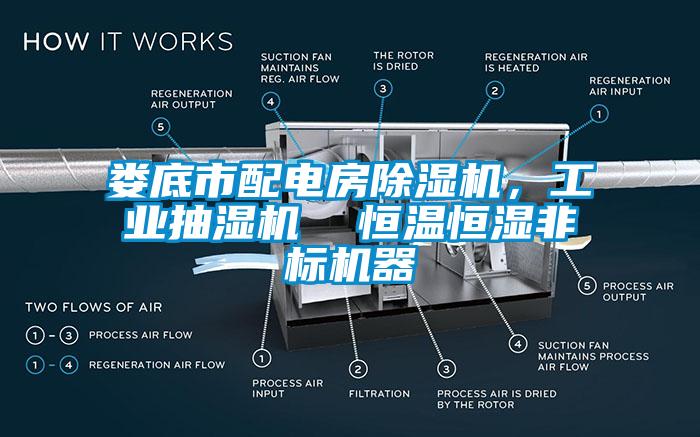 婁底市配電房除濕機，工業(yè)抽濕機  恒溫恒濕非標機器
