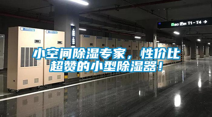 小空間除濕專家，性價比超贊的小型除濕器！