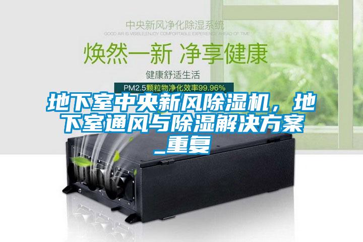 地下室中央新風除濕機，地下室通風與除濕解決方案_重復