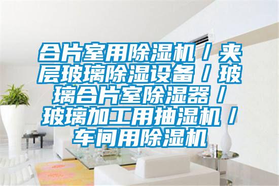合片室用除濕機／夾層玻璃除濕設備／玻璃合片室除濕器／玻璃加工用抽濕機／車間用除濕機
