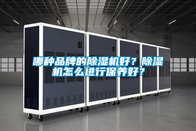 哪種品牌的除濕機好？除濕機怎么進行保養好？