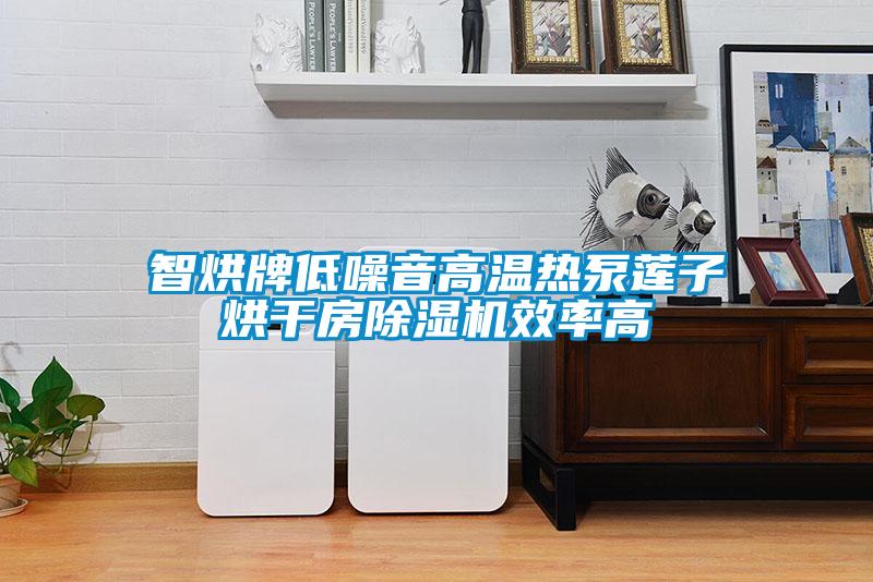 智烘牌低噪音高溫熱泵蓮子烘干房除濕機效率高
