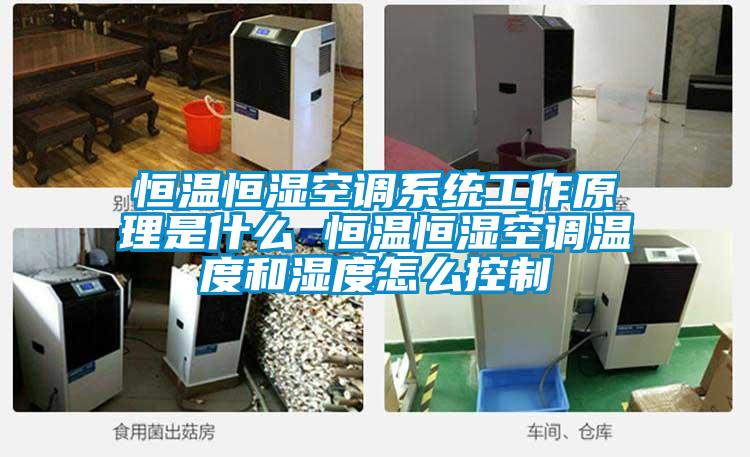 恒溫恒濕空調系統工作原理是什么 恒溫恒濕空調溫度和濕度怎么控制